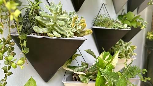 LaLaGreen Wall Planters for Indoor Plants - Image 8