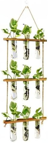 XXXFLOWER Wall Hanging Propagation Station - Image 10