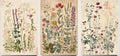 Framed Plants Wildflowers Canvas Wall Art Vintage Floral Painting Poster by NCYEL