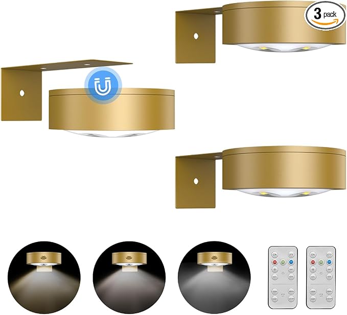 3Pack Picture Light Battery Operated Painting Lights by Xuolder