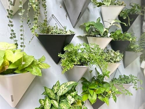 LaLaGreen Wall Planters for Indoor Plants - Image 8