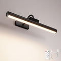 Skairipa Picture Light with Remote, 16in Battery Operated Picture Lights by Skairipa