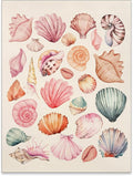 Pink Seashell Posters Coastal Cowgirl Canvas Wall Art Trendy Beach Starfish by Unknown