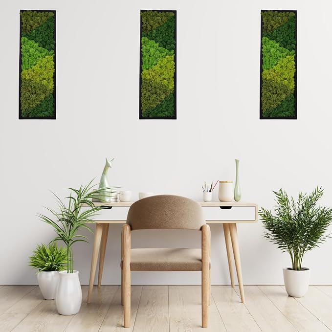 yersiz Large Moss Pattern Wall Art, Real Moss Wall Art - Image 6