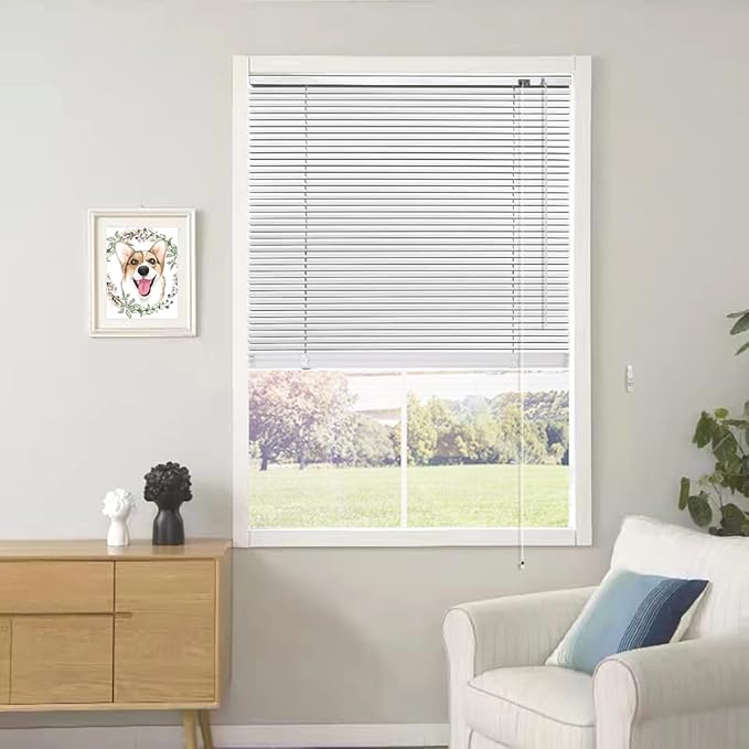 YIIBAII Mini Blinds Suitable for 22" W x 64" H Windows 1" Aluminum Horizontal by YIIBAII