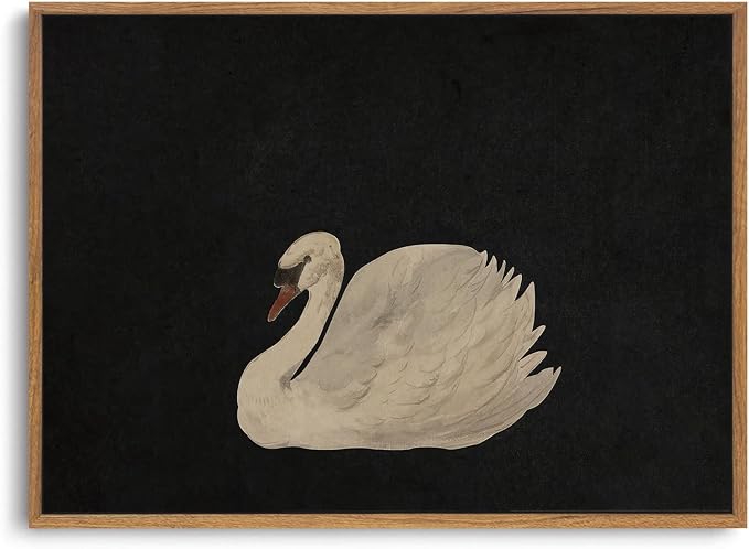 OIQArtOIQ Vintage Framed Wall Art Moody Grace Swan Canvas Art Prints Rustic by OIQArtOIQ