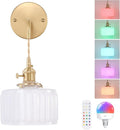 Shenmoyl Battery Operated Wall Sconce by Shenmoyl