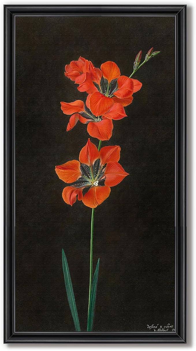 Vintage Framed Red Floral Wall Art - Image 8