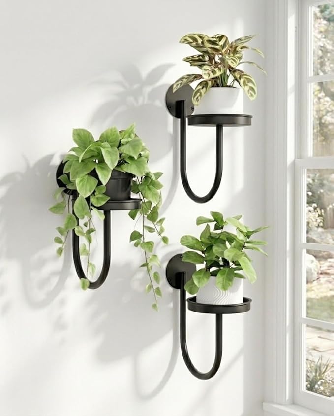 Bamworld Hanging Planters for Indoor Plants Wall Plant Holder Plant Hanger by Bamworld