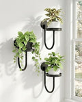 Bamworld Hanging Planters for Indoor Plants Wall Plant Holder Plant Hanger by Bamworld