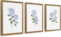 WRFON Blue Hydrangea Framed Wall Art Set of 3, Watercolor Floral Botanical by Unknown