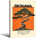 Japanese Framed Wall Art Okinawa Prints Vintage Japanese Bonsai Tree Picture by Heltrappe
