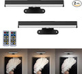 2PACK Picture Light LED Battery Operated Wall Light by EUIOKUN