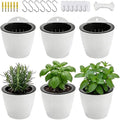 6 Pack White Hanging Planter Pots Self Watering Vertical Garden Wall Mount by OrimercGarden