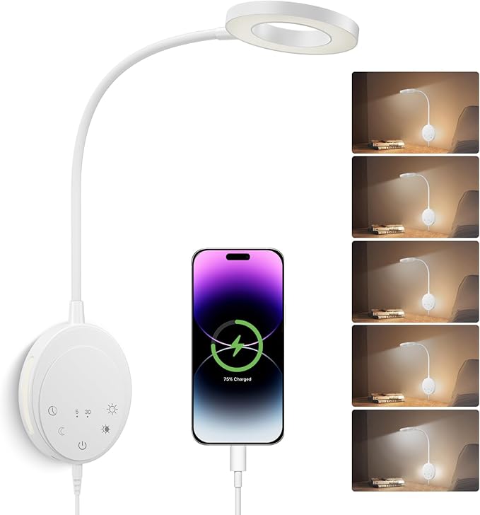 Wall Mounted Reading Light, Bedside Headboard Lights by NoeiiT
