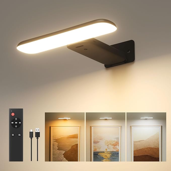 FULEN Rechargeable Picture Lights by Cost-effectiveChoice