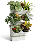 3-Tiers Vertical Wall-Mounted Planter by LZLUCKCOME