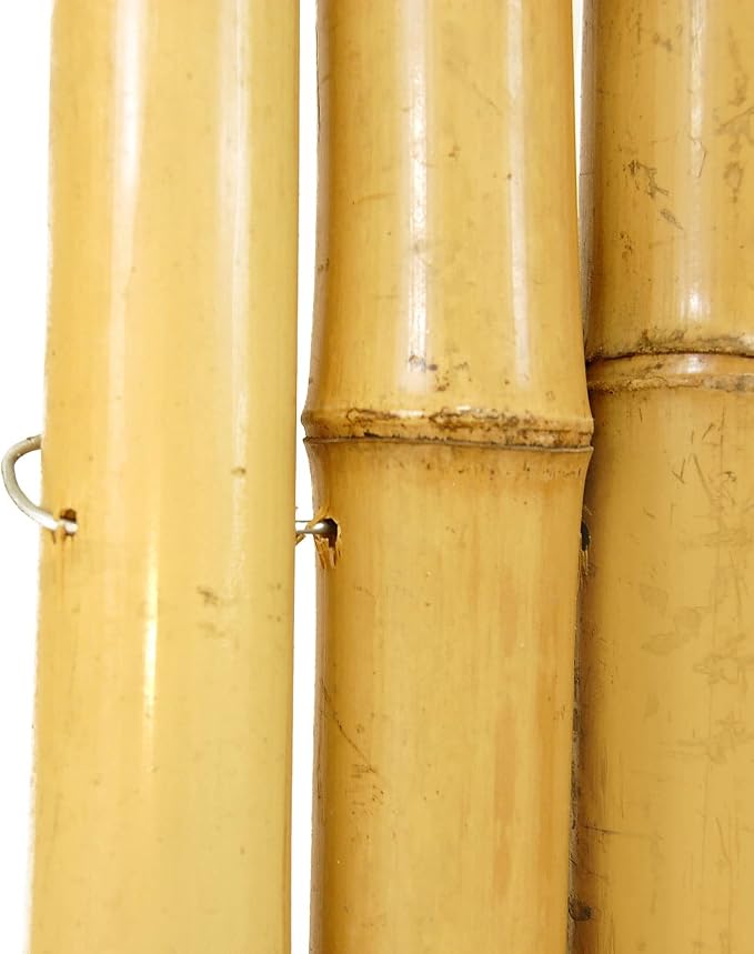 FOREVER BAMBOO Natural Bamboo Fencing Decorative Rolled Fence Panel 0.75 in D x - Image 6