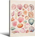 Pink Seashell Posters Coastal Cowgirl Canvas Wall Art Trendy Beach Starfish by Unknown