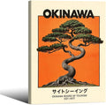 Japanese Framed Wall Art Okinawa Prints Vintage Japanese Bonsai Tree Picture by Heltrappe