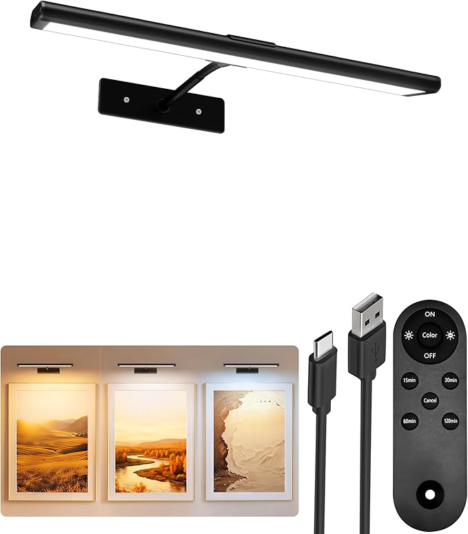 EZVALO Picture Light for Wall, Magnetic LED Art Painting Light by EZVALO