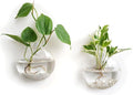 Mkono Wall Hanging Glass Terrariums Planter Oblate Flower Vase by Mkono