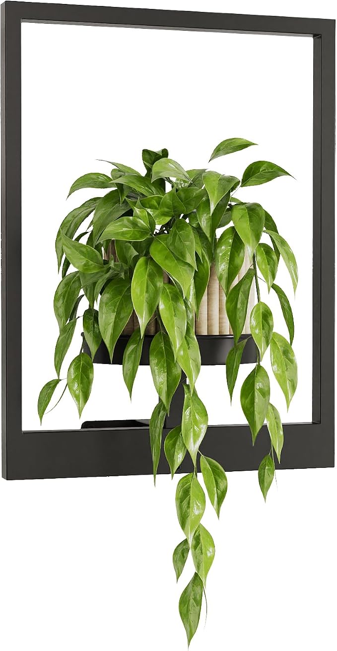 Bamworld Plant Stand Indoor Wall Decor Metal Plant Hanger Indoor Hanging Plant by Bamworld
