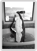 Trendy Black and White Posters Funny Woman Drinking Wine in Bathtub Wall Art by Acqooeakt