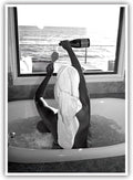 Trendy Black and White Posters Funny Woman Drinking Wine in Bathtub Wall Art by Acqooeakt