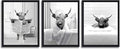 KBKBART Funny Highland Cow Wall Art Set of 3, Rustic Farmhouse Bathroom Cow by KBKBART
