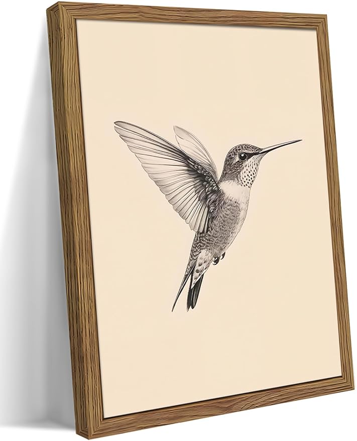 Vintage Framed Wall Art, Birds Canvas Prints, Hummingbird Sketch Painting by MUWAKWallArt