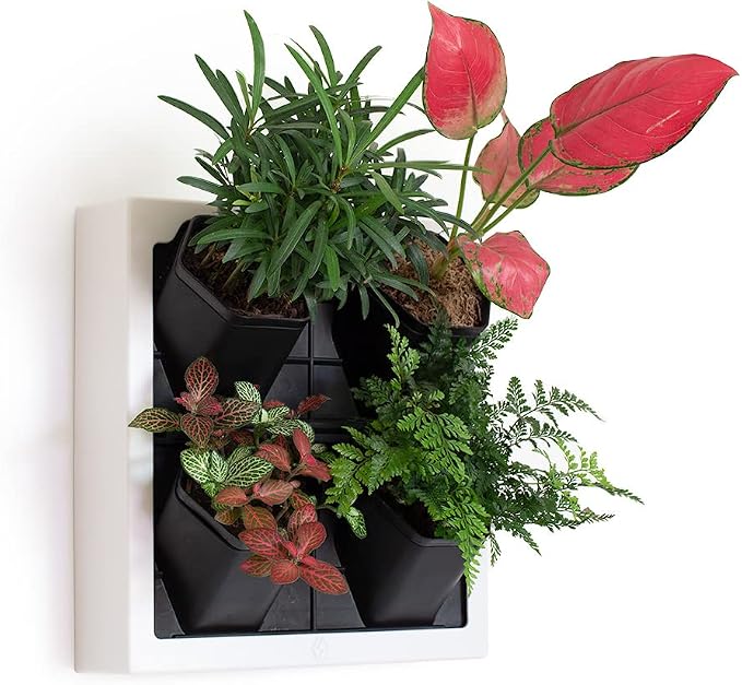 Self Watering Wall Planter by Inspiration+Jungle