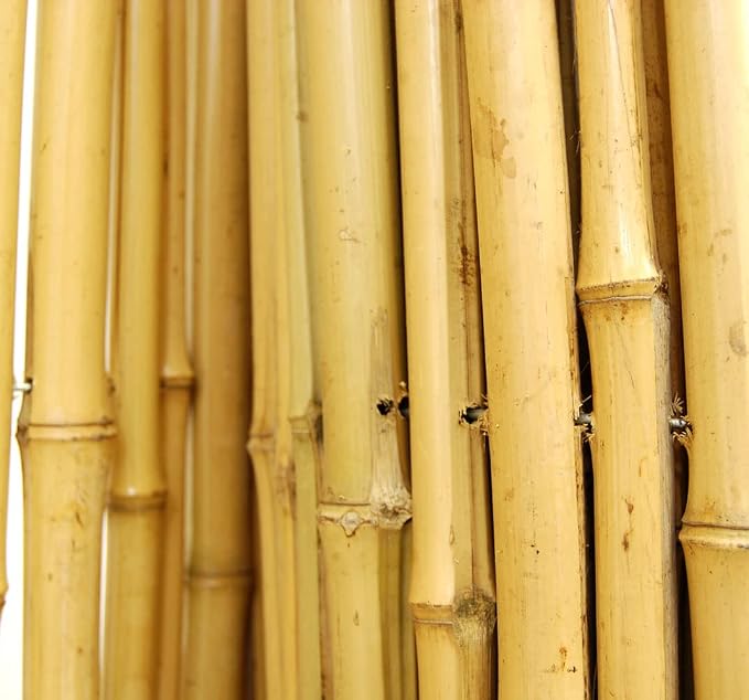FOREVER BAMBOO Natural Bamboo Fencing Decorative Rolled Fence Panel 0.75 in D x - Image 7