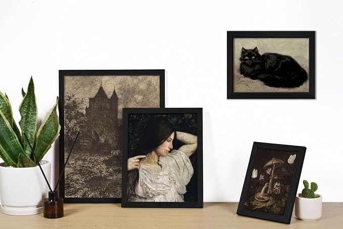ANERZA 16 PCS Framed Dark Academia Room Decor, Gothic Home Decor, Moody Wall - Image 5