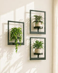Bamworld Hanging Planters for Indoor Plants Wall Decor Living Room Plant Stand by Bamworld