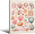 Pink Seashell Posters Coastal Cowgirl Canvas Wall Art Trendy Beach Starfish by Unknown