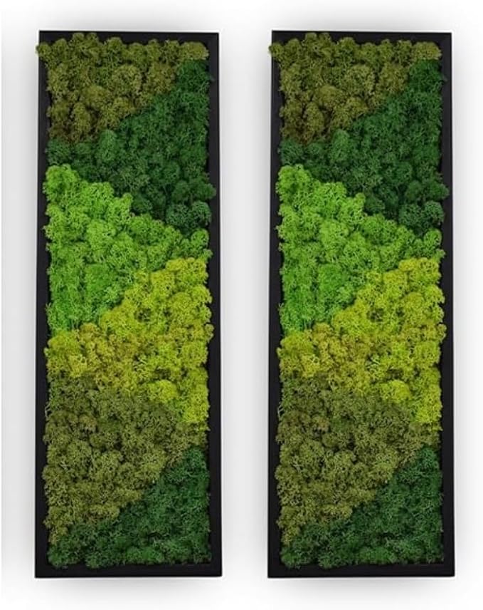 yersiz Large Moss Pattern Wall Art, Real Moss Wall Art by YERSIZ