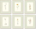 KBKBART Mint Green Floral Wall Art Set of 6 Unframed, Minimalist Abstract by KBKBART