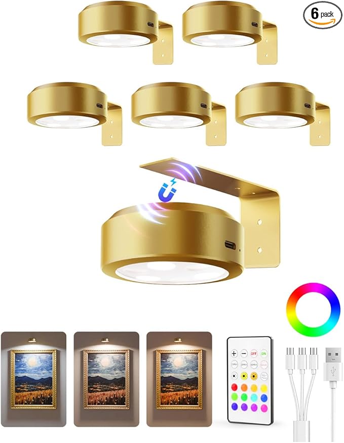 EZVALO Picture Lights for Wall, 2000mAh Rechargeable Battery Magnetic Poster by EZVALO