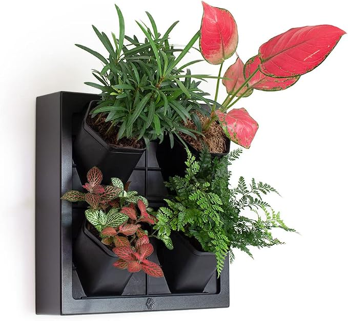 Self Watering Wall Planter by Inspiration+Jungle