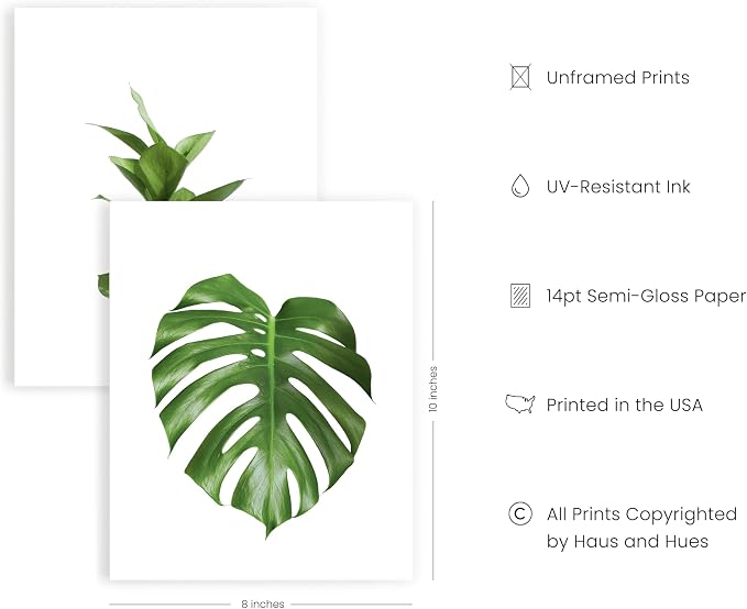 HAUS AND HUES Plant Photo Set of 4-8x10 - Image 2