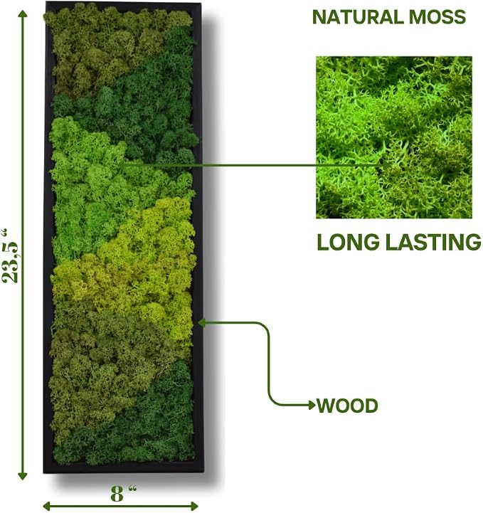 yersiz Large Moss Pattern Wall Art, Real Moss Wall Art - Image 2
