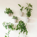 Make Good PlantPod Luxe by MakeGood