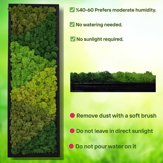 yersiz Large Moss Pattern Wall Art, Real Moss Wall Art - Image 4