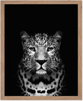 Poster Master Vintage Photograph Poster by PosterMaster