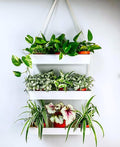 LaLaGreen Hanging Wall Planter by L%C3%A1L%C3%A1Green