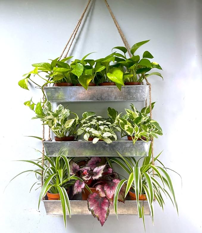 LaLaGreen Wall Hanging Planter by L%C3%A1L%C3%A1Green