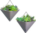 LaLaGreen Succulent Wall Planters by L%C3%A1L%C3%A1Green