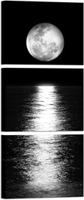 Artmyharbor Full Moon Phase Canvas Wall Art Vertical Black and White Picture by Artmyharbor
