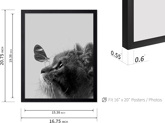 Poster Master Butterfly on Cat Print - Image 3